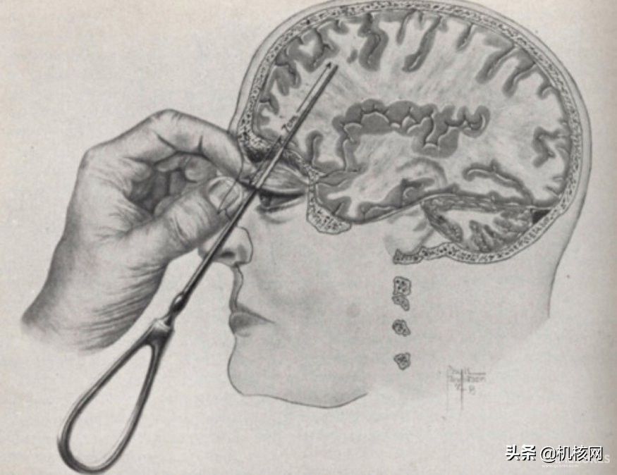 从“知育玩具”到千万级销量，带你了解十多年前的“爆款网红”