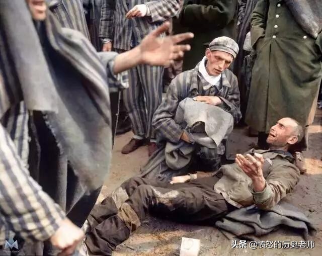 一组老照片普京,普京罕见老照片