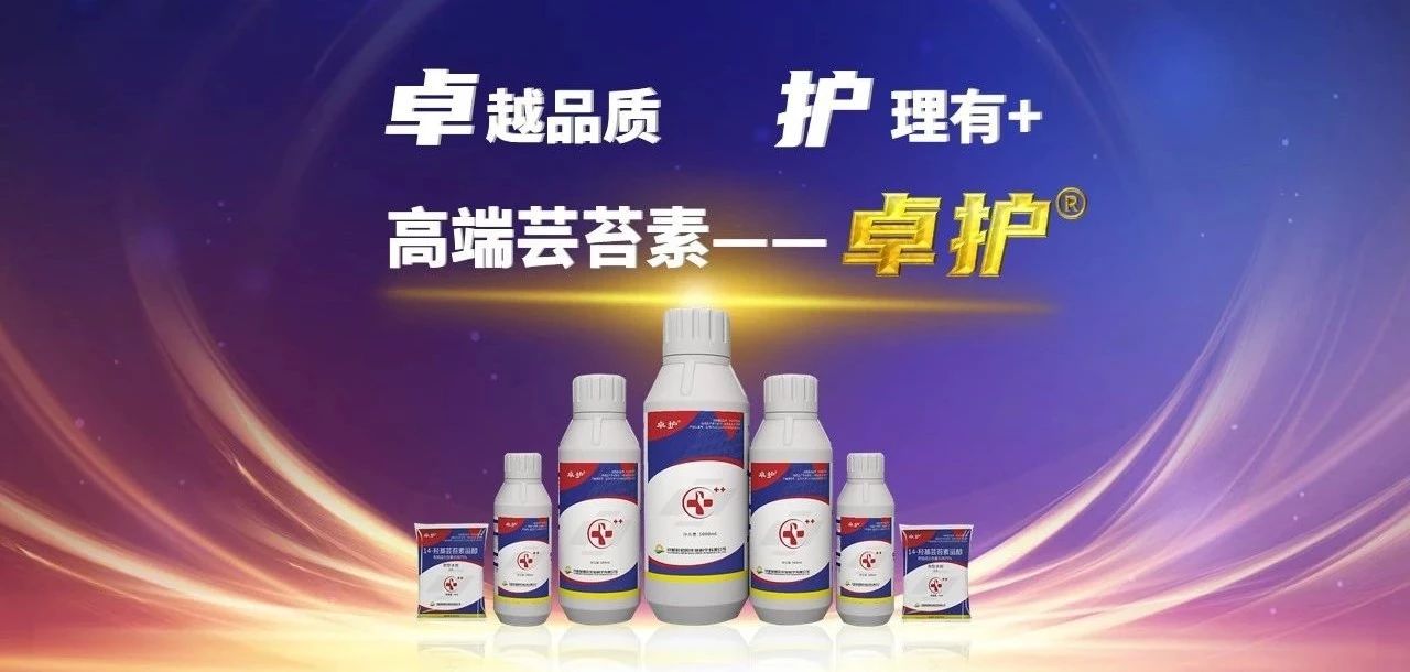 天然芸苔素和其他芸苔素的区别,什么含量的芸苔素好