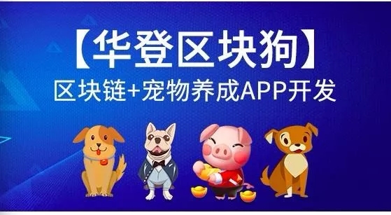 12生肖区块链资金盘,12生肖区块链最新消息