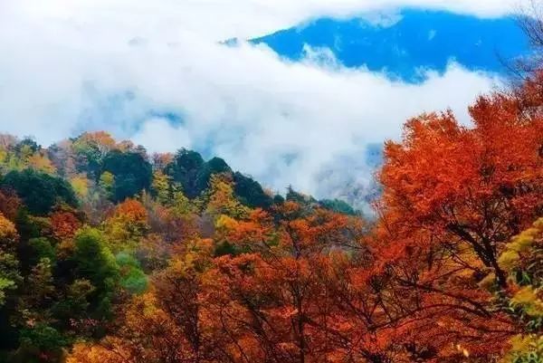 四川一条路途经全是石头的山,四川红叶一日游攻略