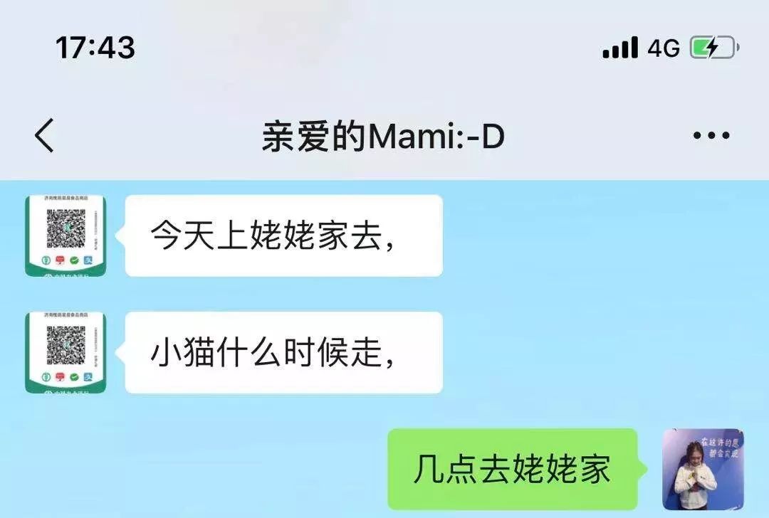 爸妈养宠物之后，就没你什么事了