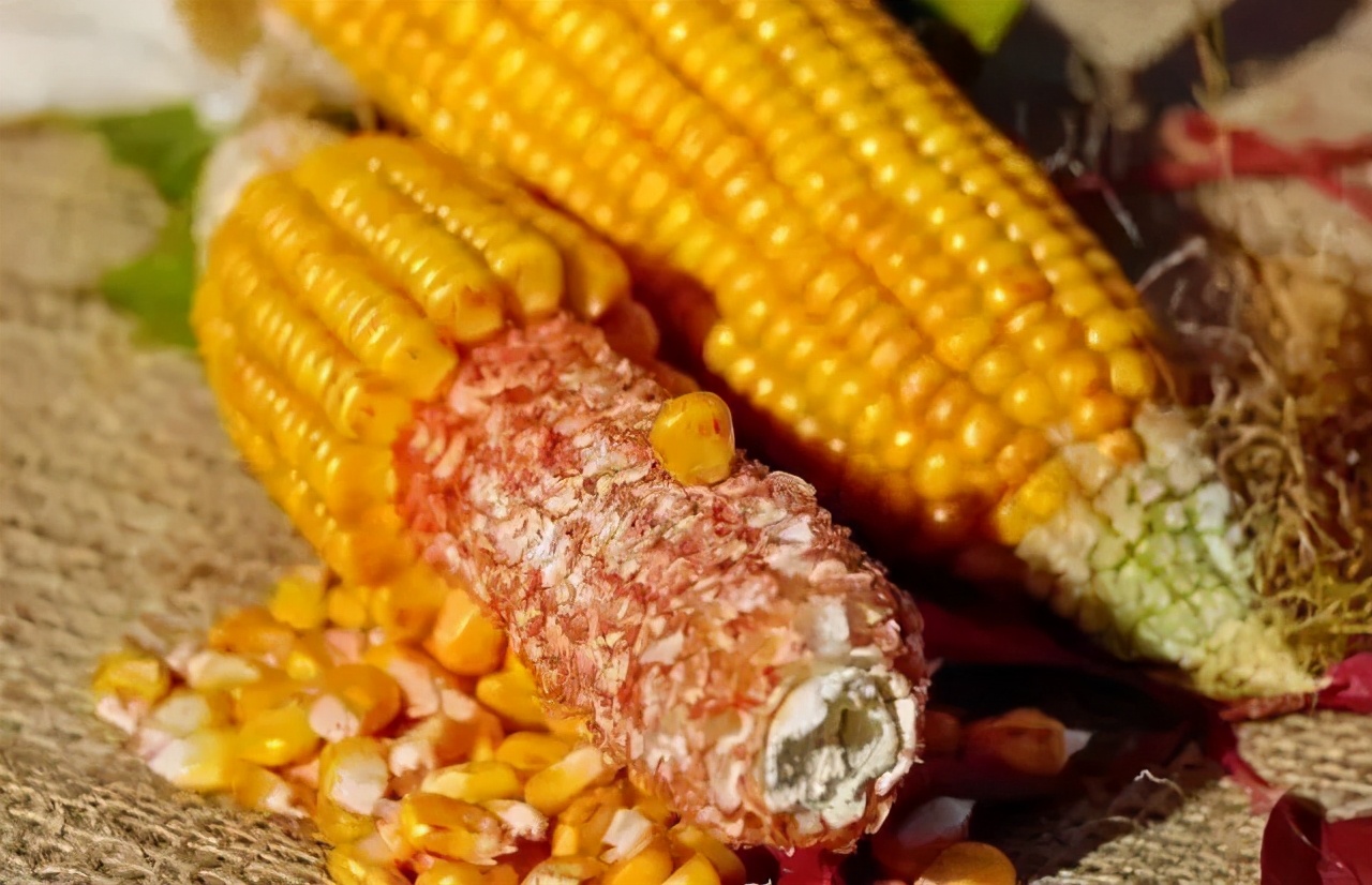 废料利用都有什么赚钱点子,农村不起眼但利润高的小生意回报