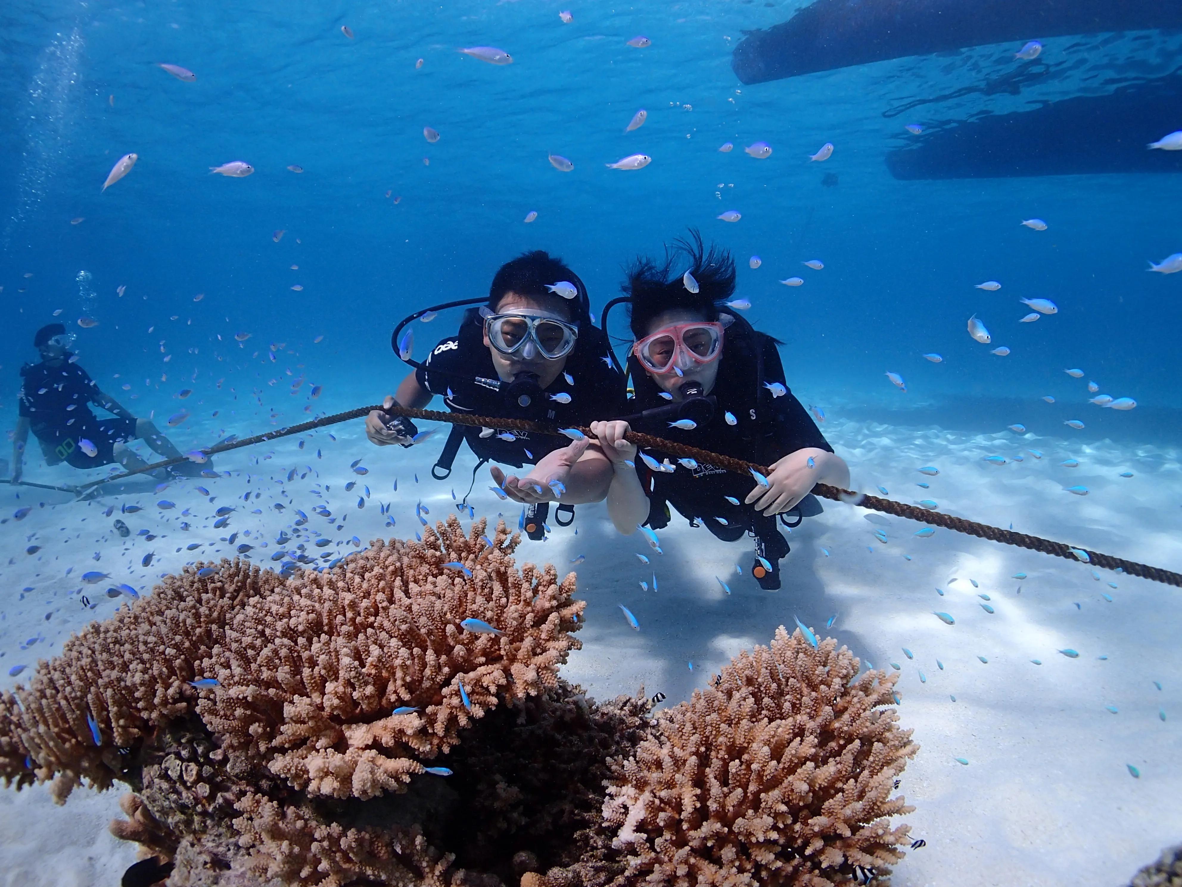 塞班水晶湾浮潜和军舰岛浮潜,塞班七彩海水