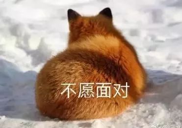 拍照时怎样做到不畏惧镜头,害怕镜头怎么克服