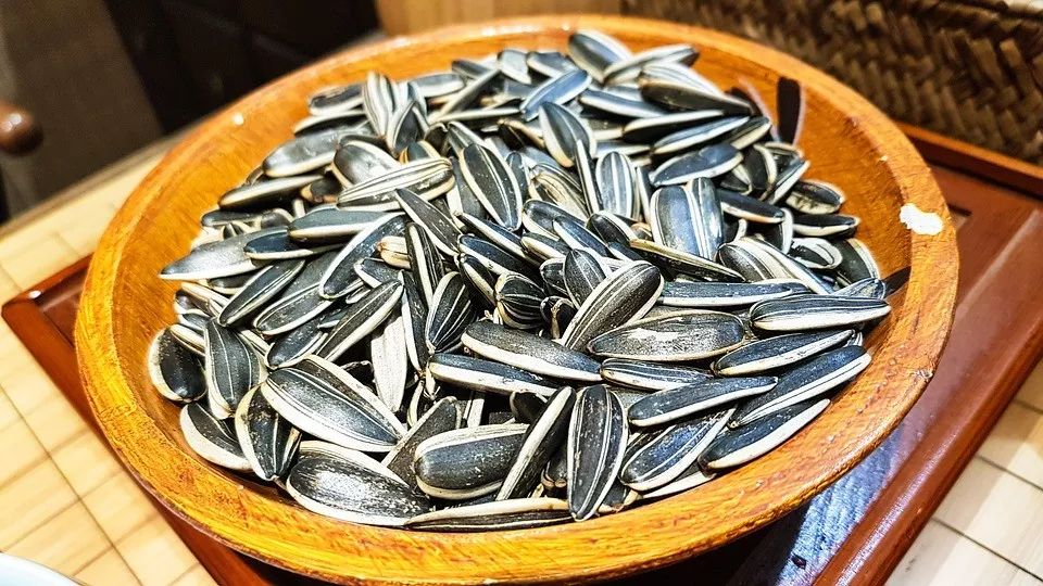 嗑瓜子停不下来是什么原理,为什么嗑瓜子停不下来不白吃