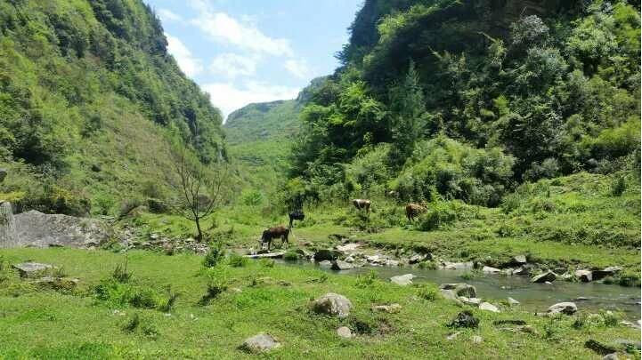 山似剑水如蓝，曾经年少在建南—建南纪事（上）