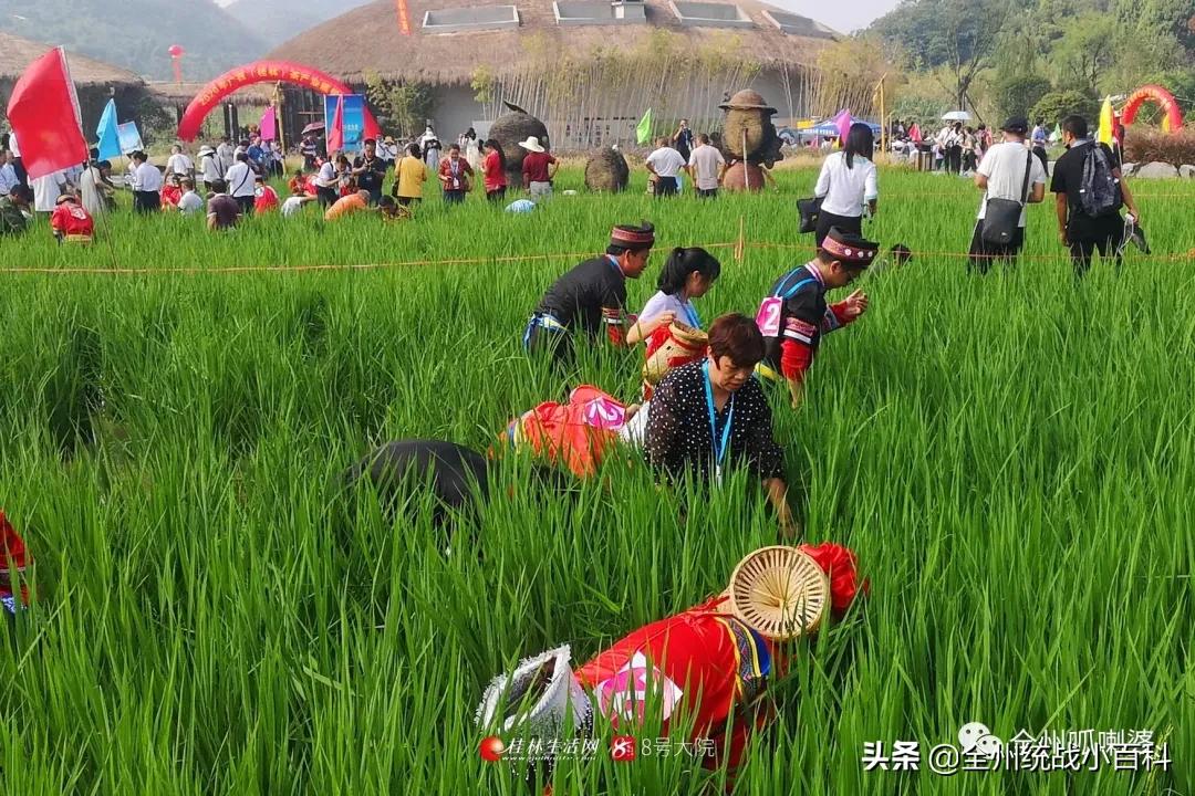 央视宣传全州,央视向全国推介吉林