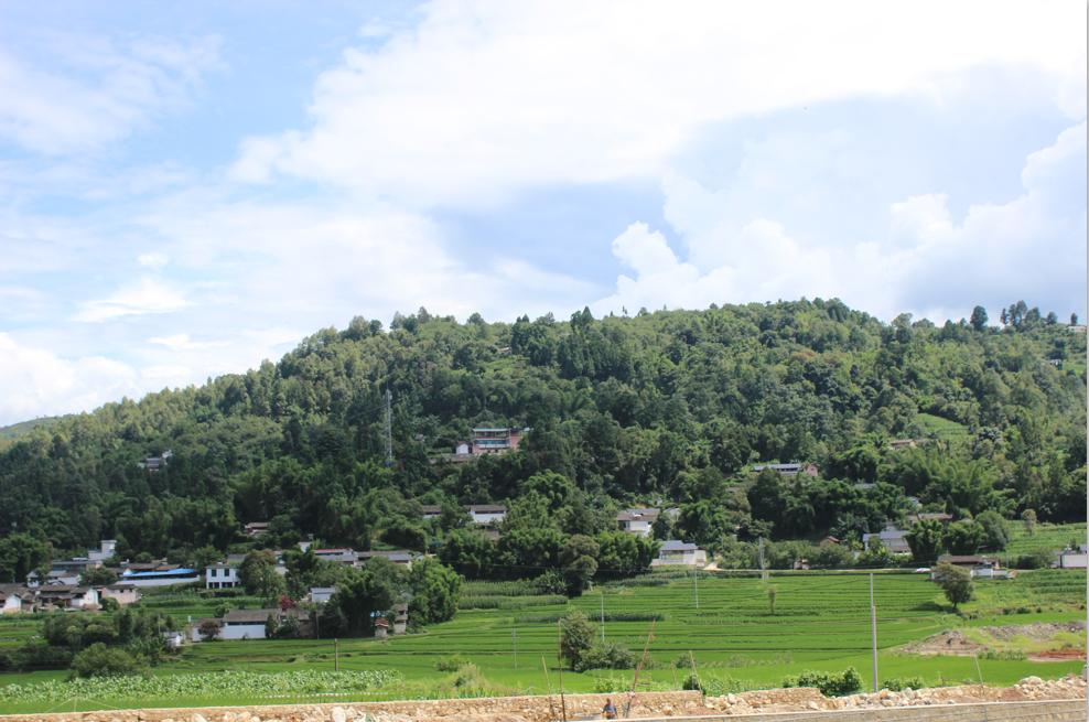 昌宁产业扶贫取得新效果,昌宁县农业脱贫项目