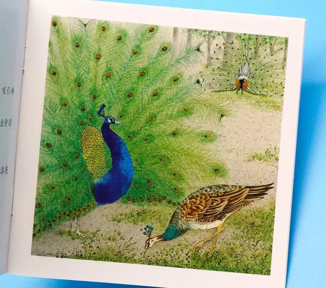 意大利畅销童书,意大利绘本世界十大著名童话