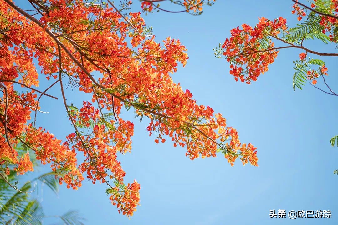三亚维景度假酒店，占地100000多平米，位于天下第一湾的亚龙湾
