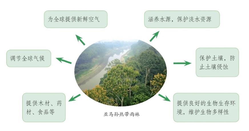 填图测验,填图测试