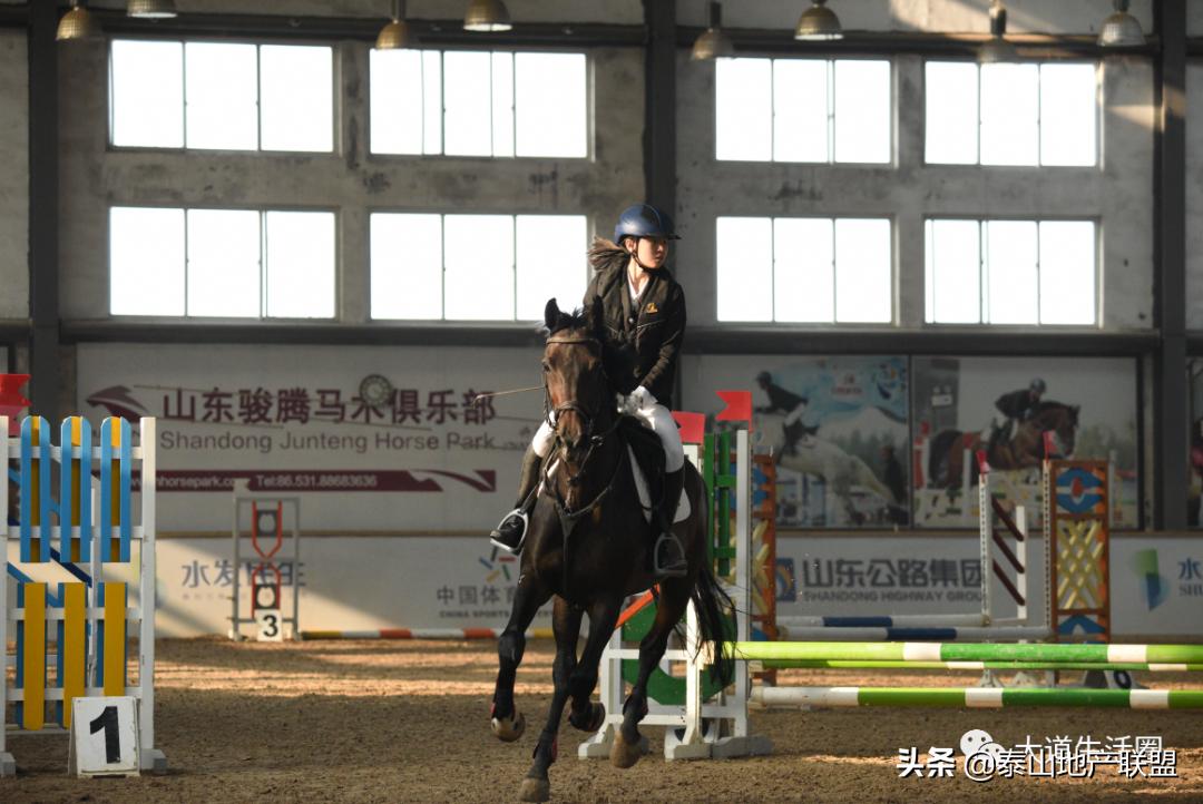 以梦为马不负韶华奔跑的少年,以梦为马不负韶华夏令营