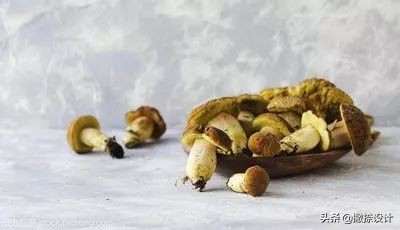 关于装修中的柜体，你必须知道的三两事！上集