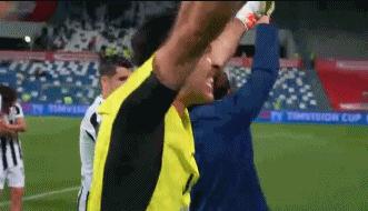 尤文2-1获胜米兰,布冯c罗尤文夺冠视频