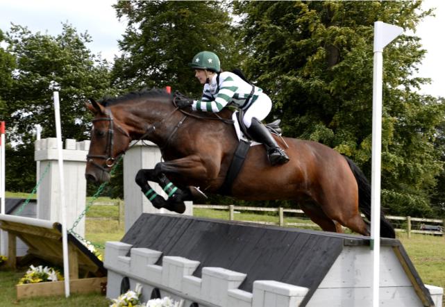 逐渐兴起的Pony和澳洲小马俱乐部体系路在何方？