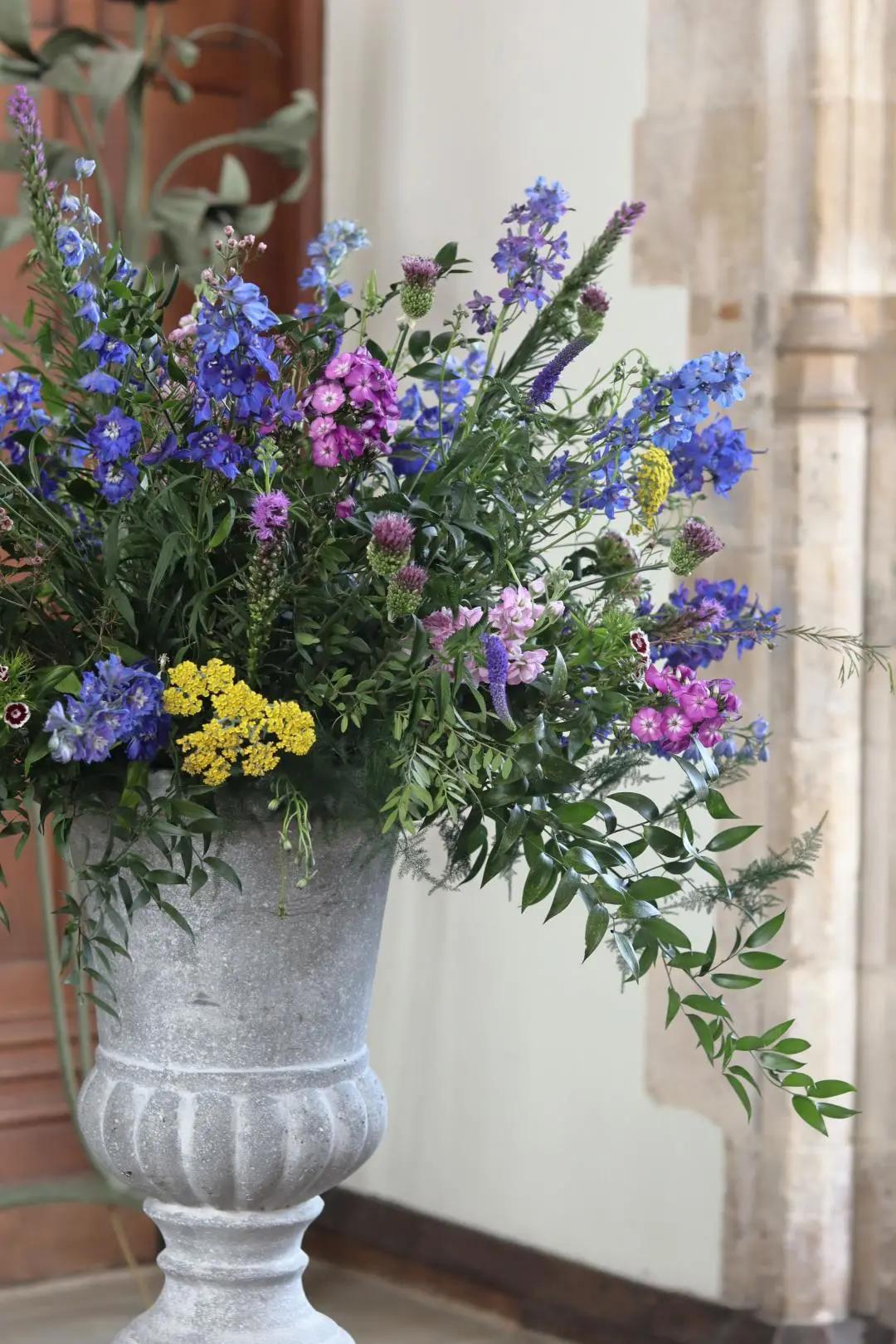 50种花材大全,常用鲜切花品种及图片