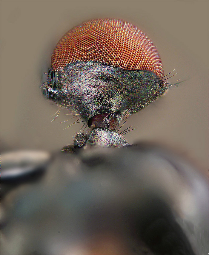 十分钟教你玩转高级感的摄影,都是干货