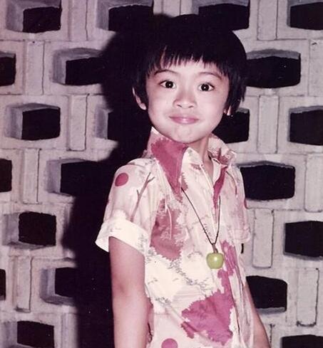 最帅展昭何家劲剑眉,何家劲哪部展昭最经典