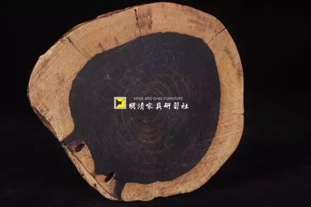 紫檀的真实身份,紫檀的一生