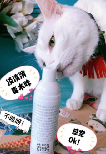 小宠肤可安猫咪用的好吗,用小宠肤可安给猫洗澡