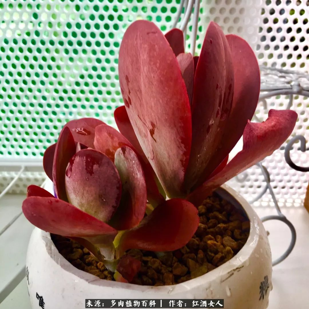 记录走过的美景留下美好的回忆,记录走过的每一段美好时光