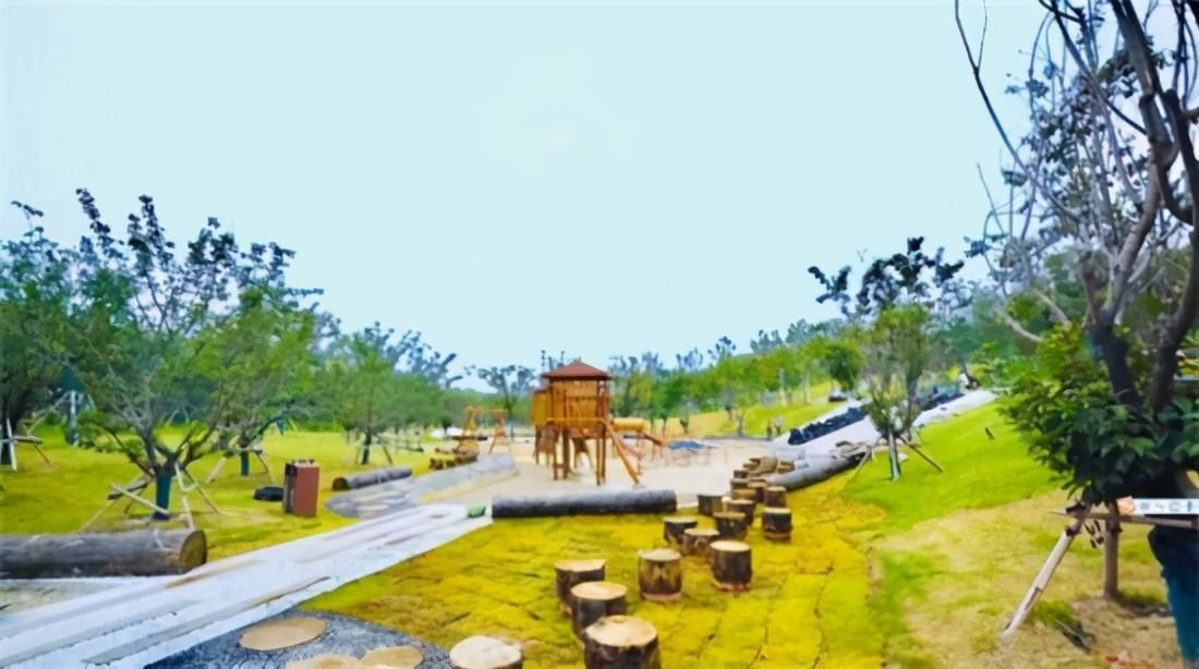 郑州十大免费官方场馆,郑州好玩的地方大型游乐场