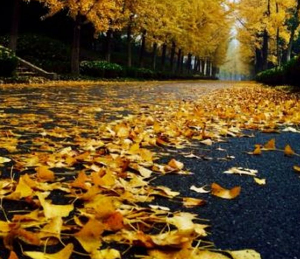 濡堝鐨勭溂鐫涘湪鍝噷,濡堝鐨勭溂闀滀笉瑙佷簡