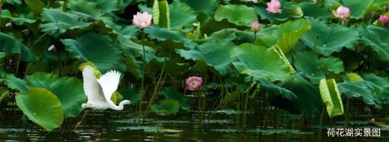 滇中新区嘉丽泽恒大养生谷,昆明嘉丽泽恒大养生谷楼盘现状