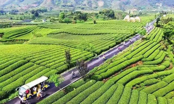 浙江省运动休闲旅游,浙江健康运动公园