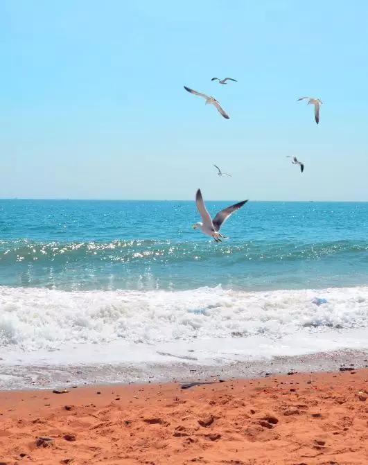 辽宁省有个小城市,辽宁最有魅力的小城