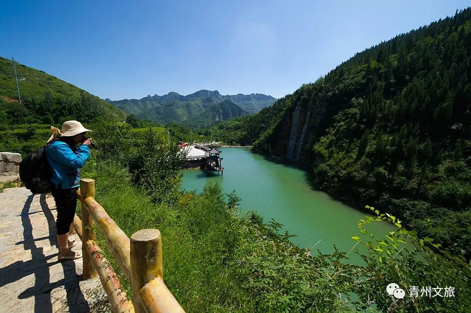 青州泰和山黄花溪,青州黄花溪风景区门票直播