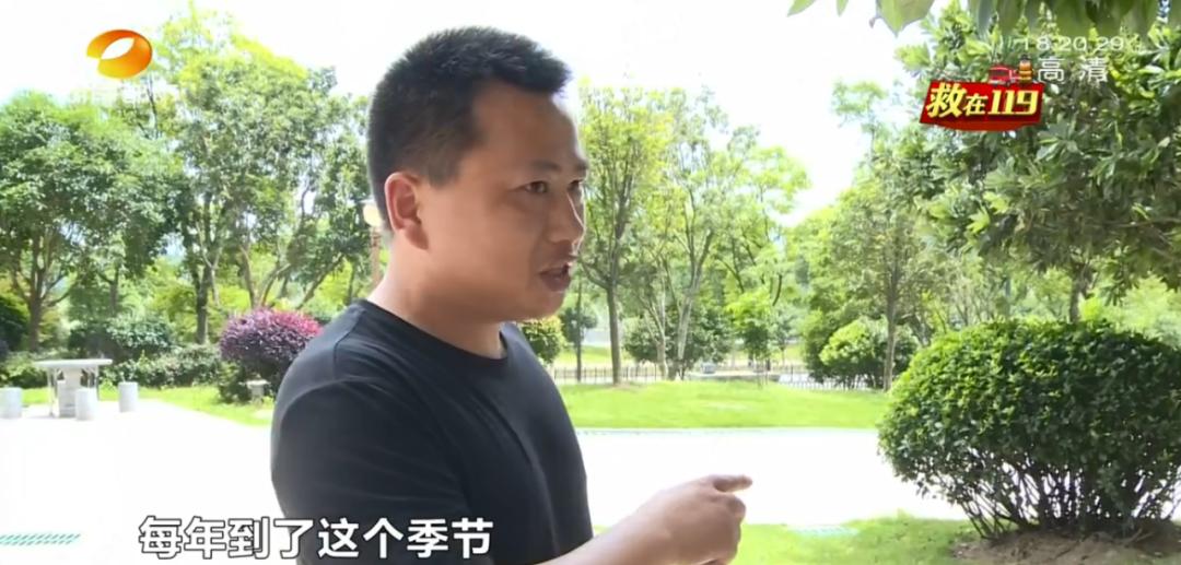 成群蜜蜂飞进屋里死亡,一群蜜蜂飞进家里全死了