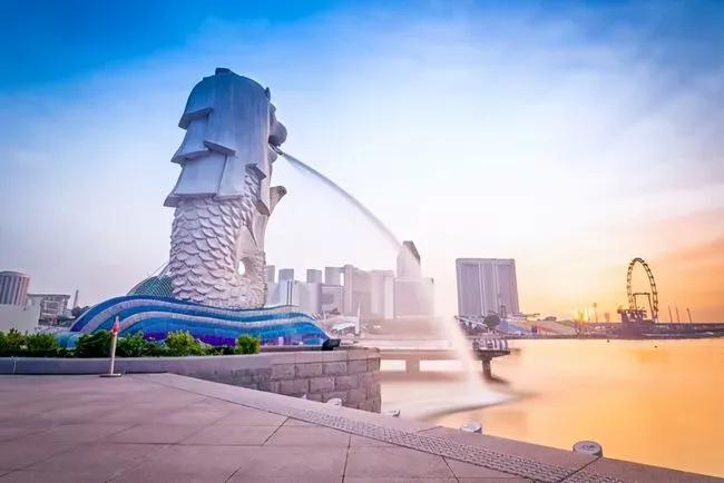 新加坡大龄留学攻略,邻居小孩出国留学送什么好