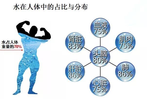 夏天脱水怎么快速补,夏季脱水怎么解决问题视频