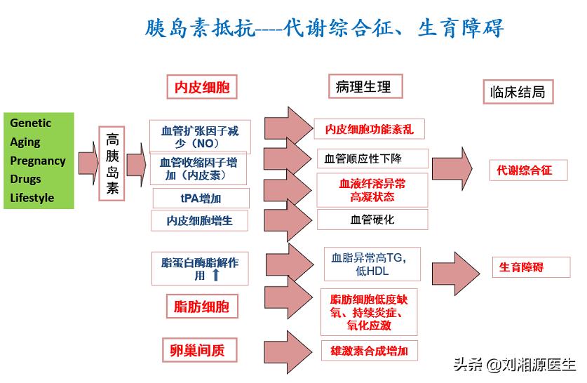 免疫相关不良妊娠诊断指南,多囊胰岛素抵抗怀孕血糖高
