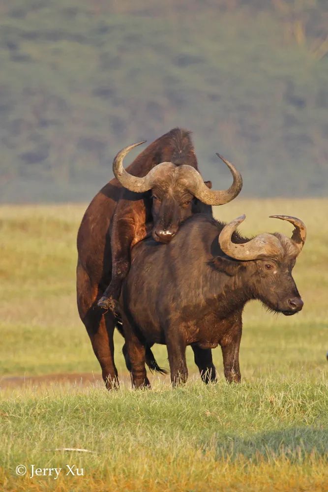 情人节，就该和爱的人*爱做**做的事