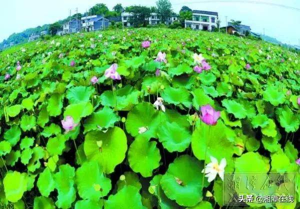 鎺ㄨ繘浜т笟鎵惰传,浜т笟鎵惰传閾哄氨鑷村瘜涔嬭矾