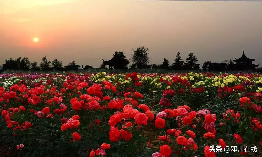 南阳最新重要新闻,河南南阳有什么大事