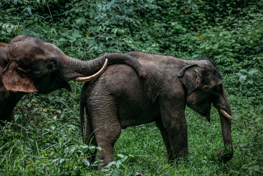GQ报道,gq报道号