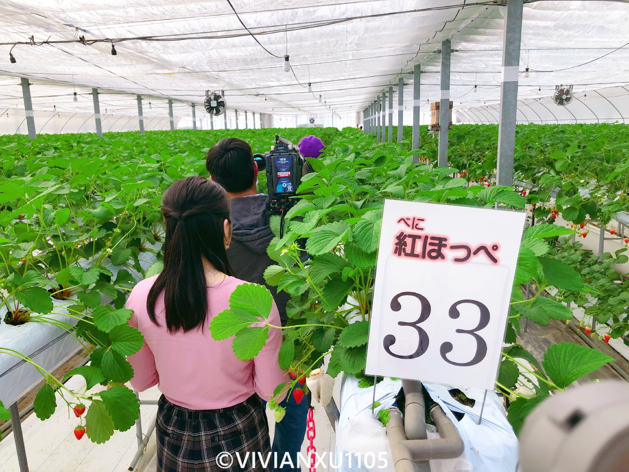 塑料母女日本东北深度游（秋田山形）