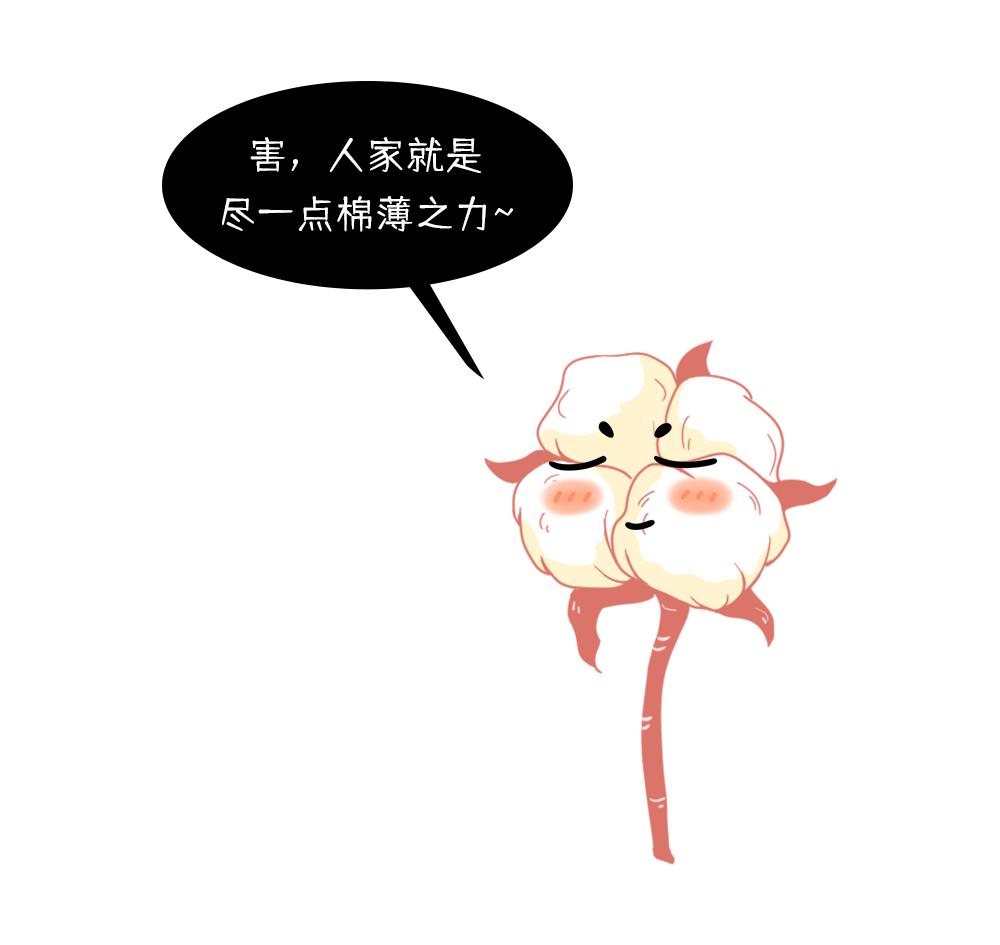 养活大量人口的粮食作物,正宗新疆新棉花大量上市