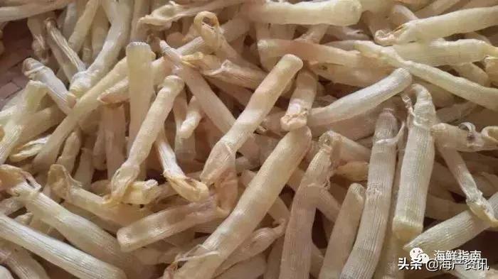 可以吃的海虫都有哪些,沙虫海肠的区别