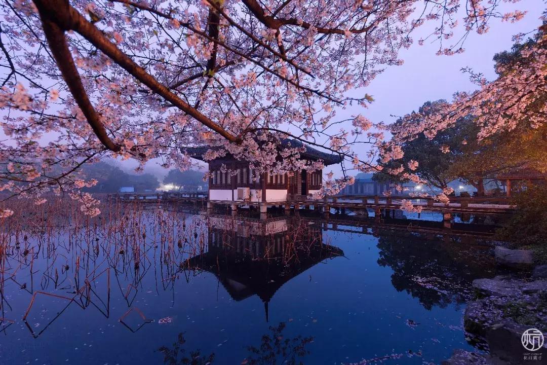 杭州浪漫约会攻略,杭州情侣冬季旅游攻略