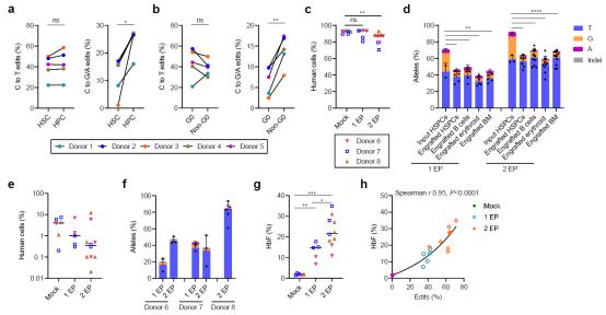 新一代单碱基编辑技术有望治愈β-地中海贫血和镰刀状贫血症