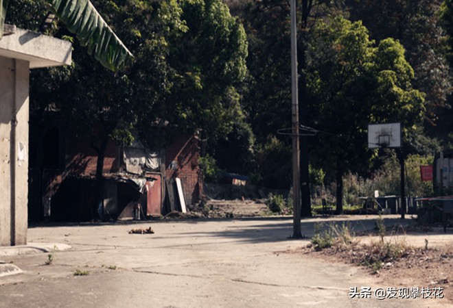 船厂生活区小区,攀枝花渡口船厂小区简介