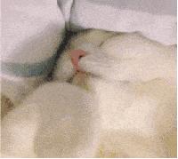 Vol.7贫民男孩女孩的路由器