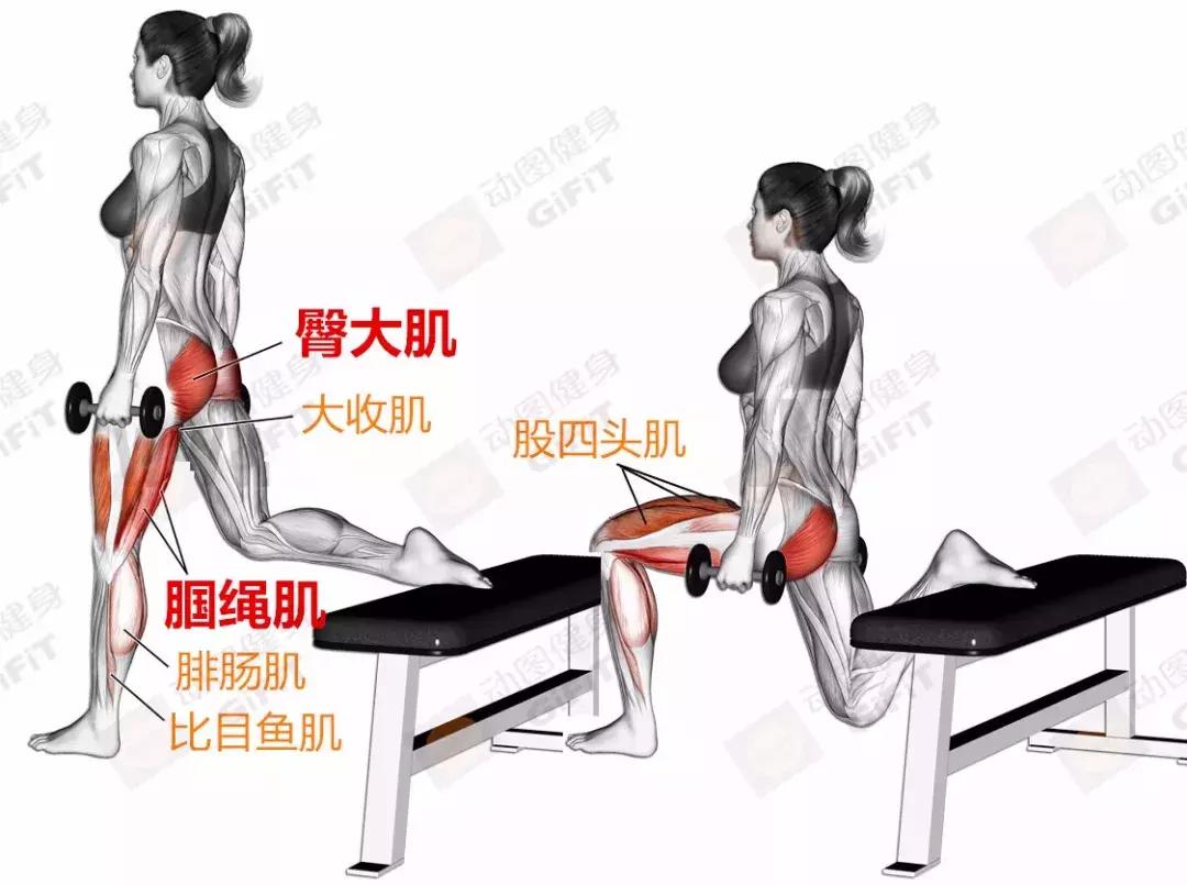 女生健身房器械训练计划一周,初中生健身房器械训练计划