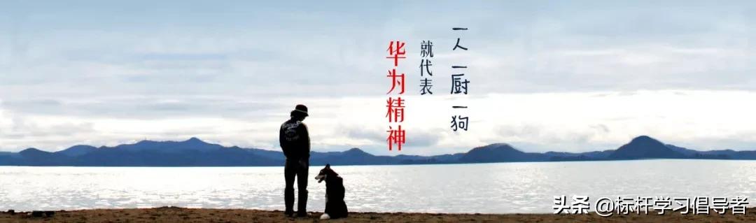 华为海外员工一人一厨一狗,一人一厨一狗这就是华为精神