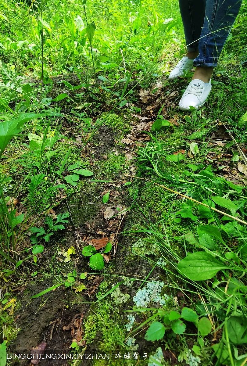 镜泊湖是堰塞湖吗,高山熔岩堰塞湖镜泊湖